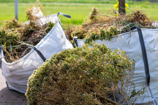 Best Dumpster Rental Services  in Swartzville, PA
